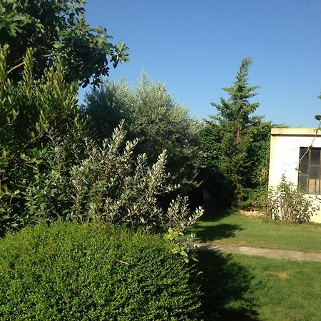 B&B - Le Vieux Figuier Vacqueyras Exterior photo