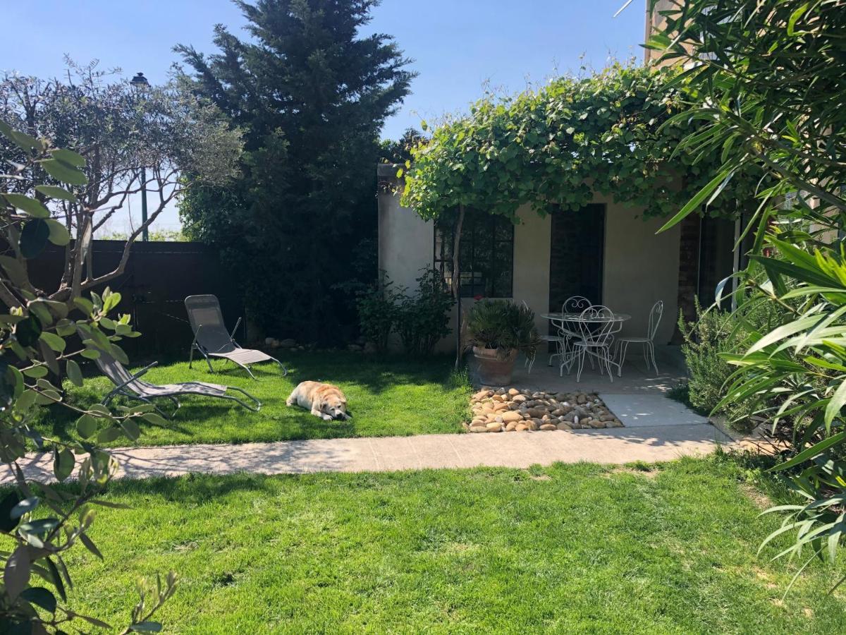 B&B - Le Vieux Figuier Vacqueyras Exterior photo