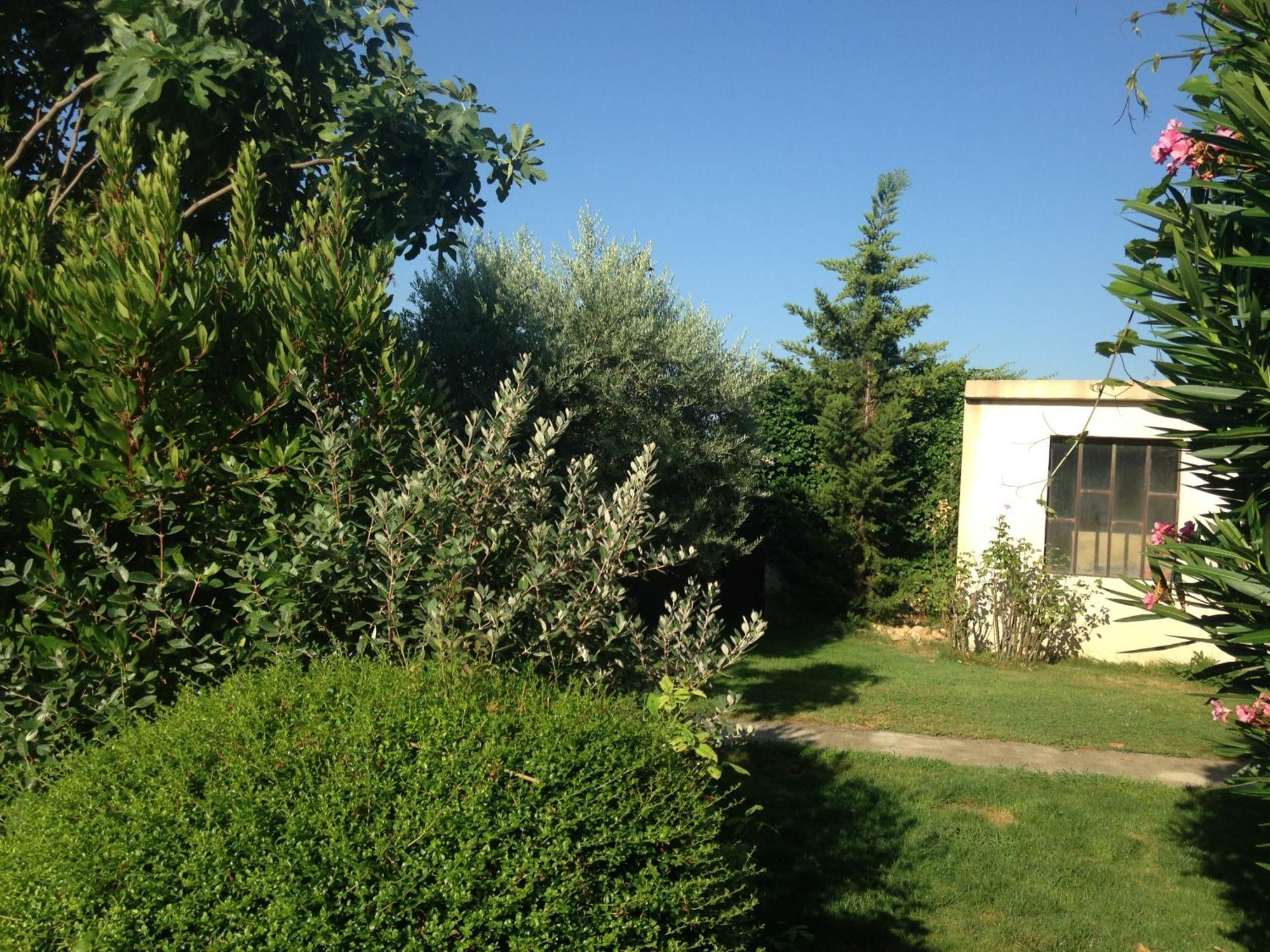 B&B - Le Vieux Figuier Vacqueyras Exterior photo