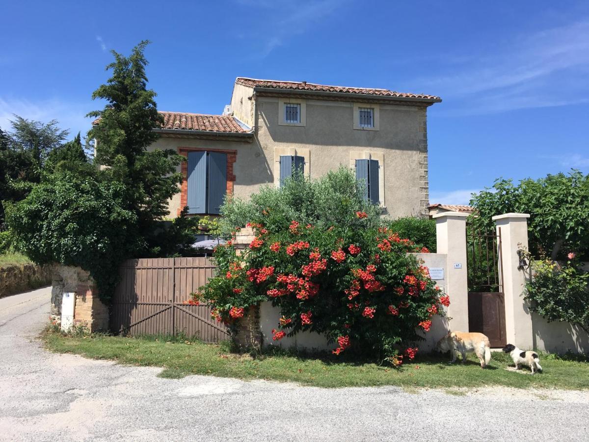 B&B - Le Vieux Figuier Vacqueyras Exterior photo