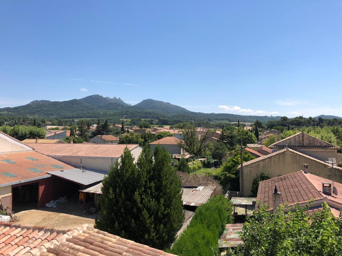 B&B - Le Vieux Figuier Vacqueyras Exterior photo