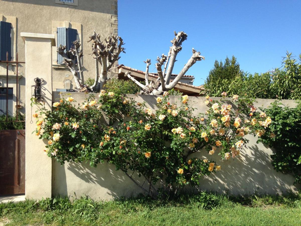 B&B - Le Vieux Figuier Vacqueyras Exterior photo